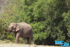 thailand-2013_klikenco_058